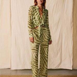 Dandy Del Mar THE CAYMAN Green Zebra Set